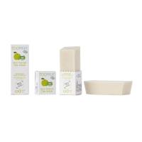 Deo solide pomme aloe ouvert 1000x1000 compress