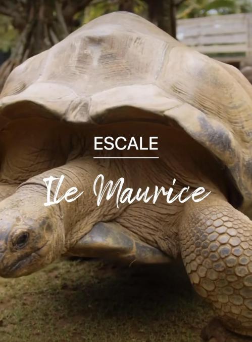escale ile maurice gabrielle esthetique